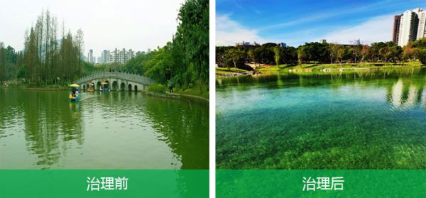 深圳城市公园